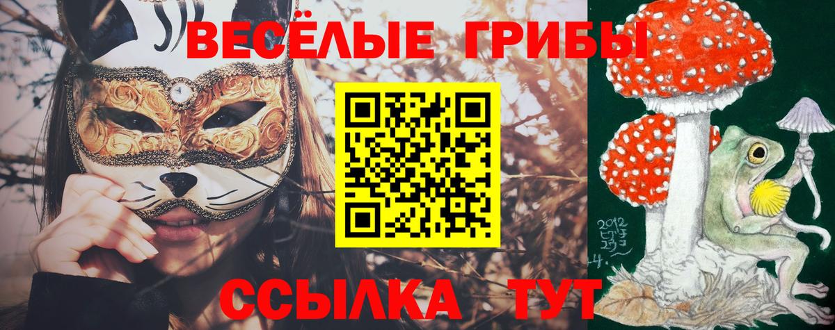 Галлюциногенные грибы прущие грибы  Вход с VPN  Дзержинск  Галлюциногенные грибы Cubensis 